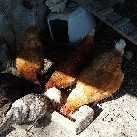Εξοχικό σπίτι Les De Campardon