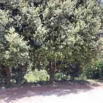 Landsted Les De Campardon Monties