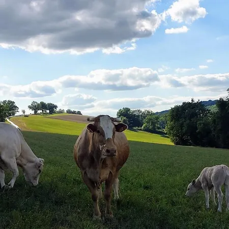 Les De Campardon Monties