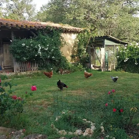Les De Campardon Monties