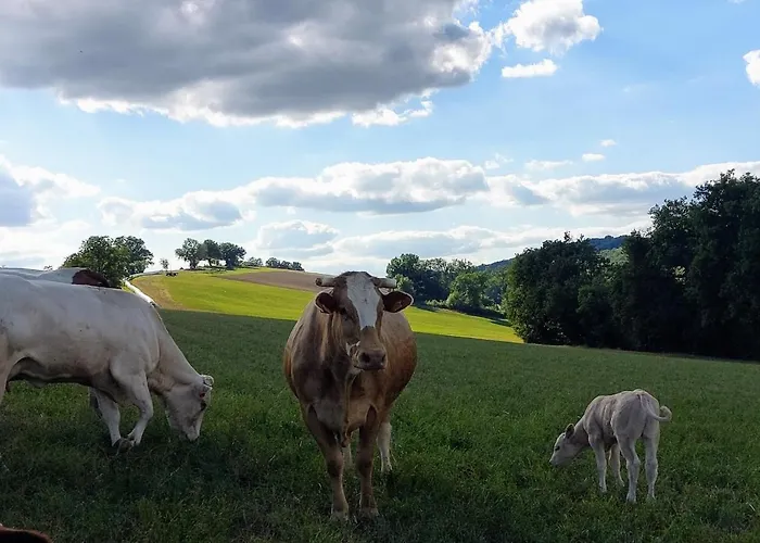 Les De Campardon Monties