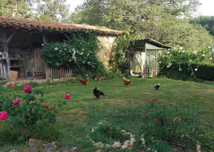 Les De Campardon Monties