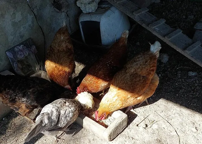 Séjour à la campagne Les De Campardon